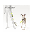 pidan - Shock Absorbing Dog Leash