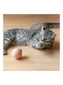 pidan - "Balloon" Electronic Cat Teasing Toy