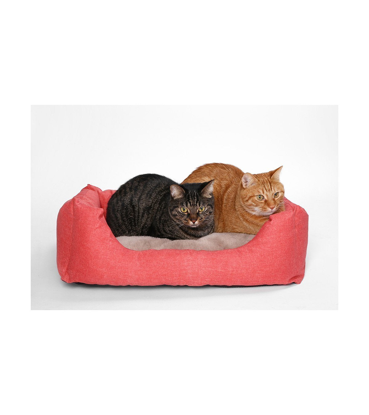 Pidan cat clearance bed