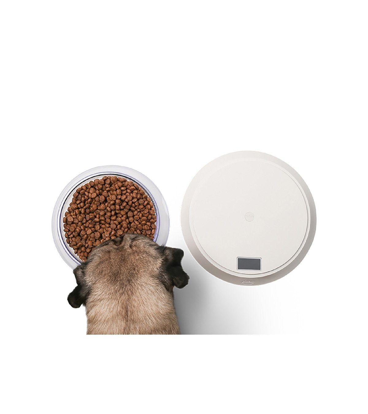 Pidan | "Volcano" Pet Food Bowl with Digital Scale | Pet Store Near Me Toronto
