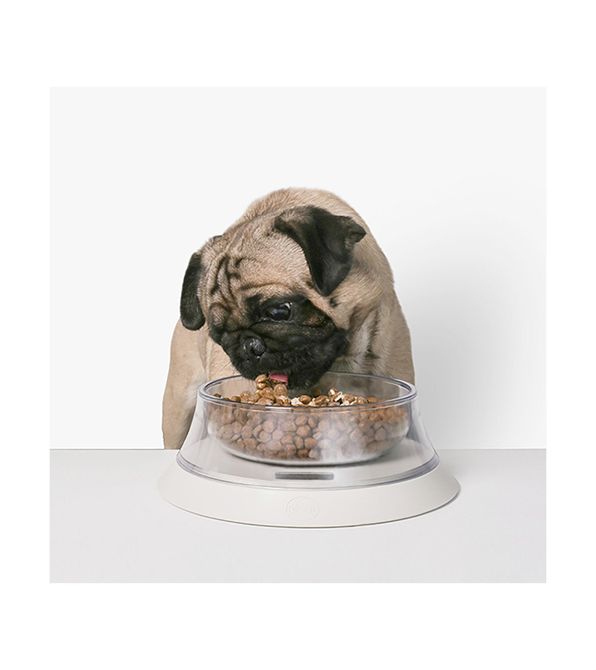 Pidan | "Volcano" Pet Food Bowl with Digital Scale | Pet Store Near Me Toronto