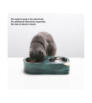 pidan - "Water Secret" Cooling or Warming Pet Bowl